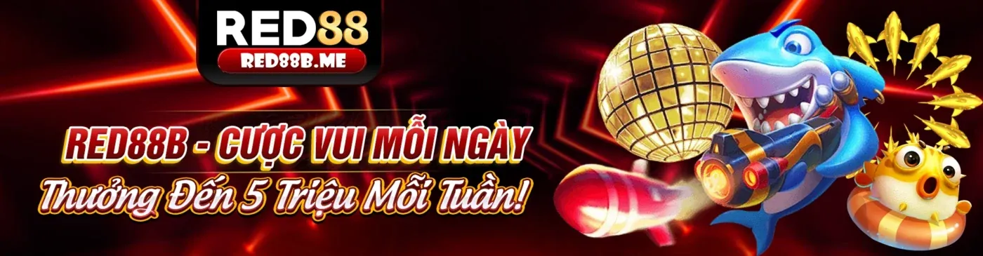 Hình ảnh chính về cá cược thể thao an toàn tại king3316